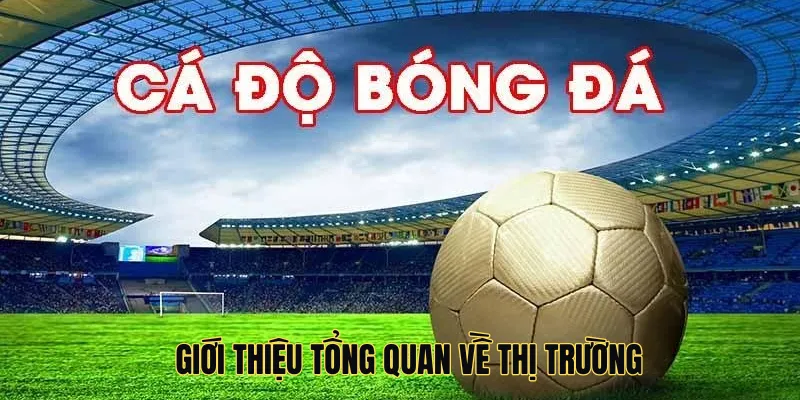 Giới thiệu tổng quan về thị trường cá độ bóng đá trực tuyến tại Việt Nam